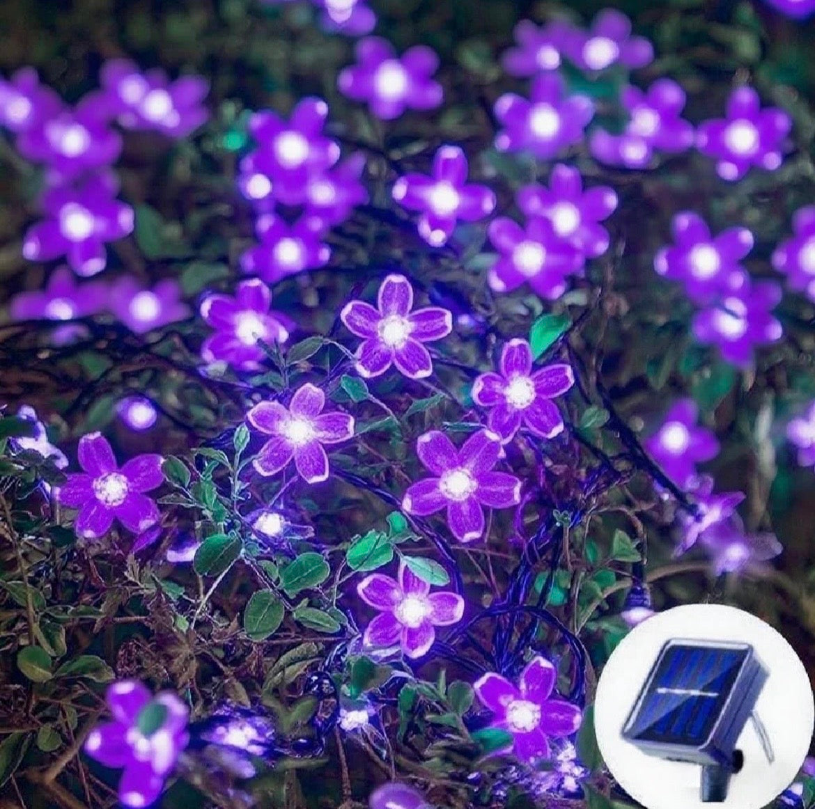 Guirnalda LED Solar